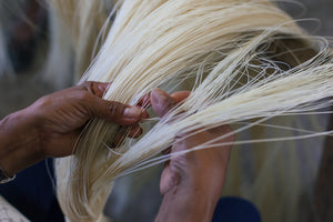 Gather sustainable plant stalks fingers sorting individual fibers