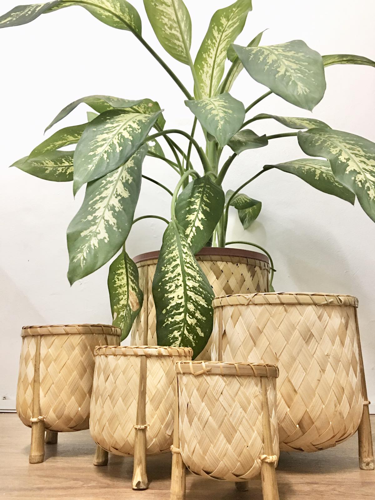 Veronica Bamboo Planter, 5-inch diameter, handcrafted from bamboo, ideal for displaying plants in eco-friendly style.