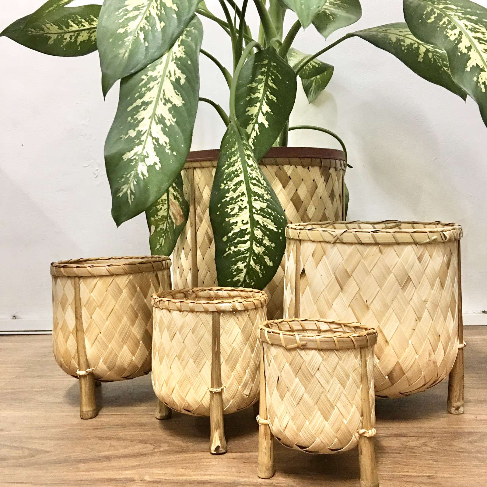 Veronica Bamboo Planter, 8-inch diameter, handcrafted from bamboo, ideal for displaying plants in eco-friendly style.