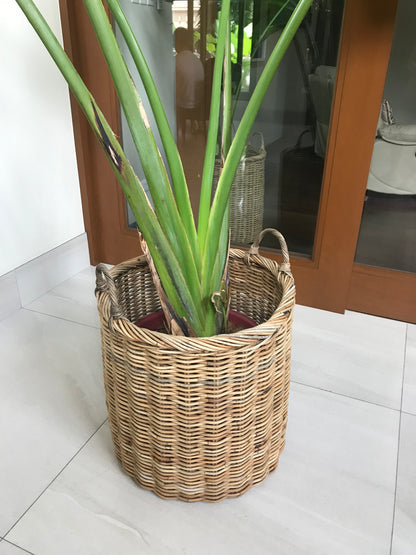 Christine Extra Large Indoor Plant Pots Set of 2, crafted from eco-friendly Arurog vine, perfect for indoor plants like fiddle leaf figs and rubber trees.