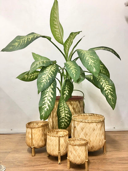 Veronica Bamboo Planter, 5-inch diameter, handcrafted from bamboo, ideal for displaying plants in eco-friendly style.