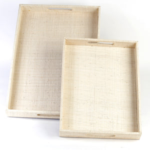 Adie Positively Simple Decorative Trays Set of 2