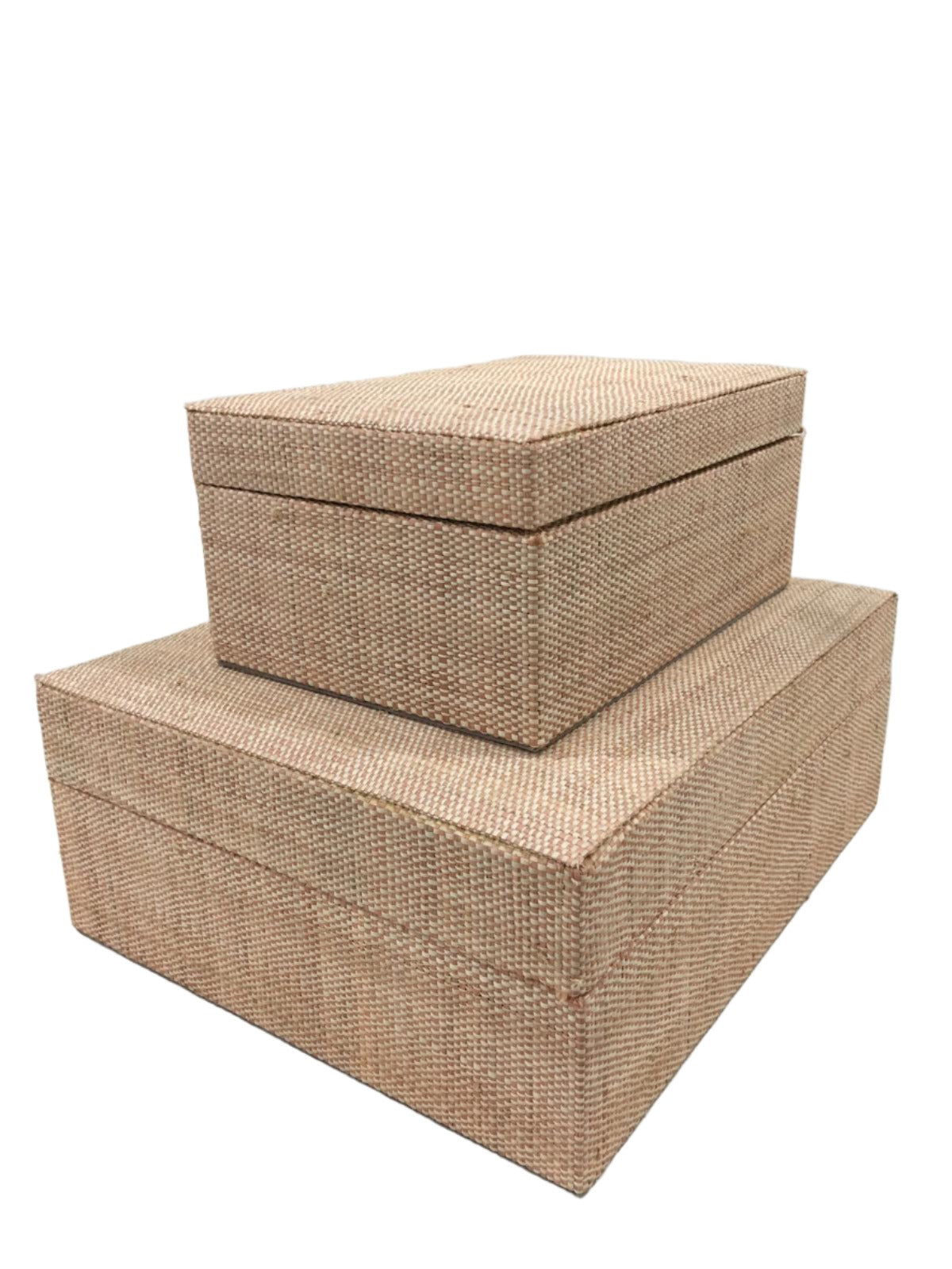 Organize in style with the Sophia Simple Storage Boxes Set of 2. Made from 100% natural plant fiber and lined with luxurious faux suede, these eco-friendly boxes blend sustainability with elegance for a tidy, chic space.