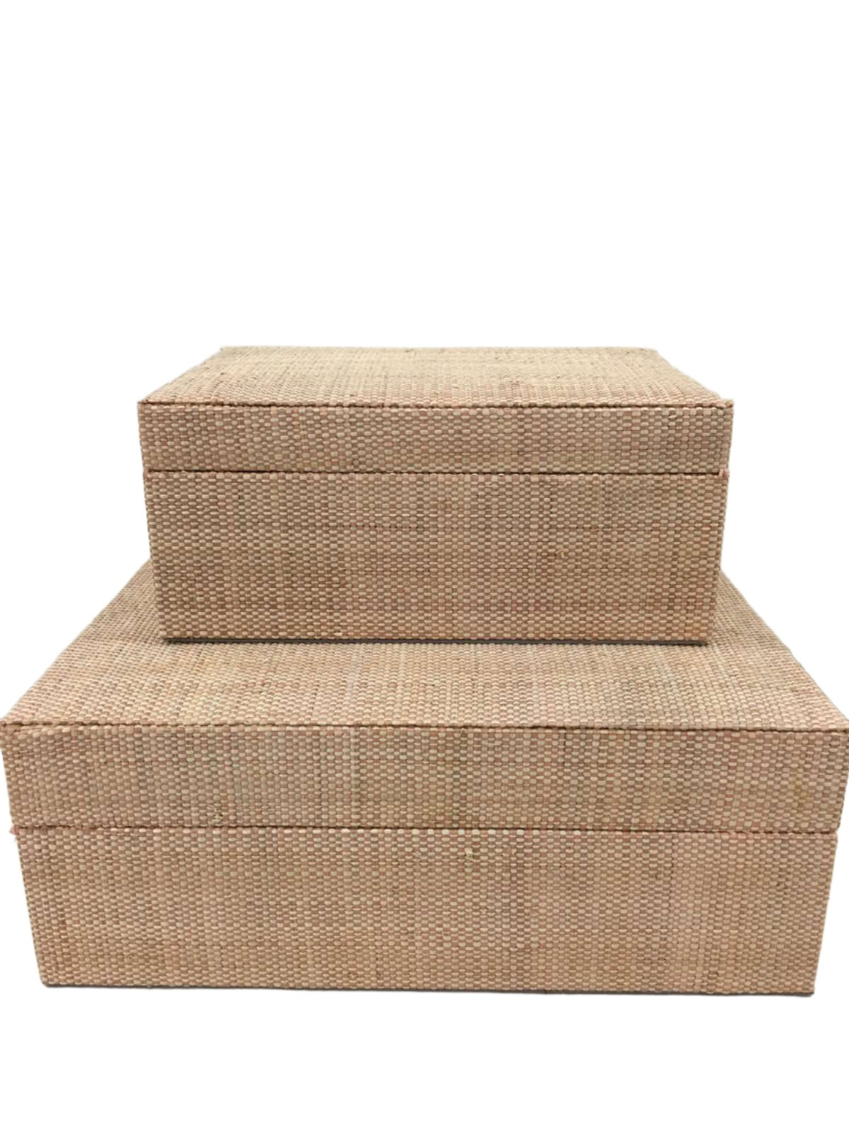 Organize in style with the Sophia Simple Storage Boxes Set of 2. Made from 100% natural plant fiber and lined with luxurious faux suede, these eco-friendly boxes blend sustainability with elegance for a tidy, chic space.
