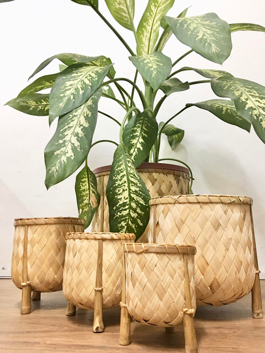 Veronica Bamboo Planter, 12-inch diameter, handcrafted from bamboo, ideal for displaying plants in eco-friendly style.