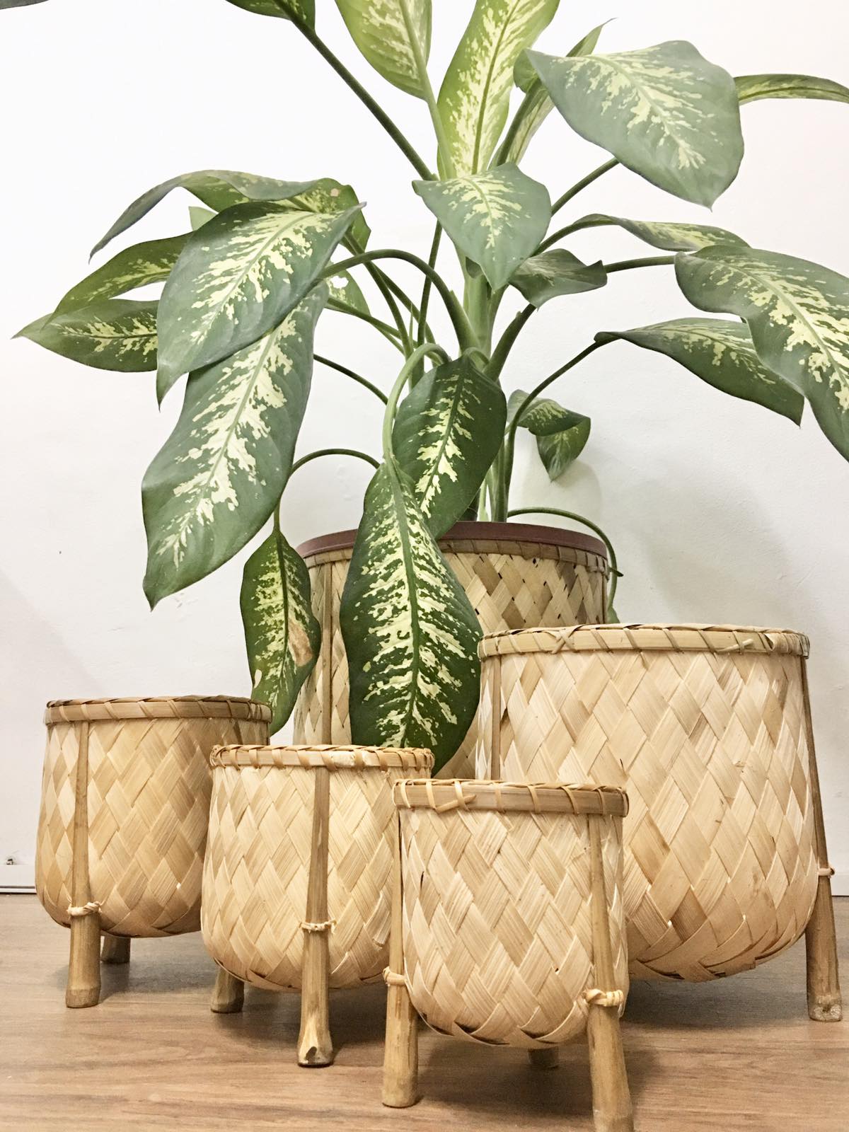 Veronica Bamboo Planter, 12-inch diameter, handcrafted from bamboo, ideal for displaying plants in eco-friendly style.