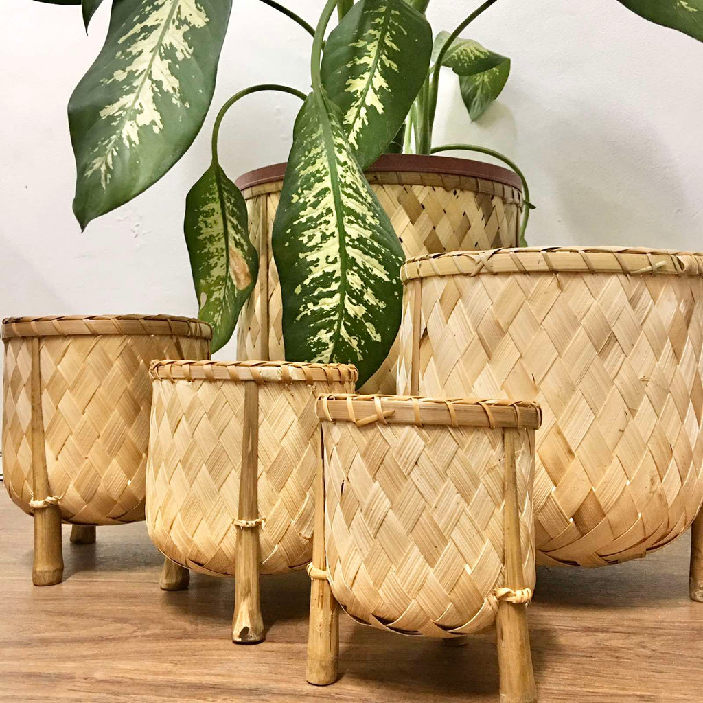 Veronica Bamboo Planter, 12-inch diameter, handcrafted from bamboo, ideal for displaying plants in eco-friendly style.