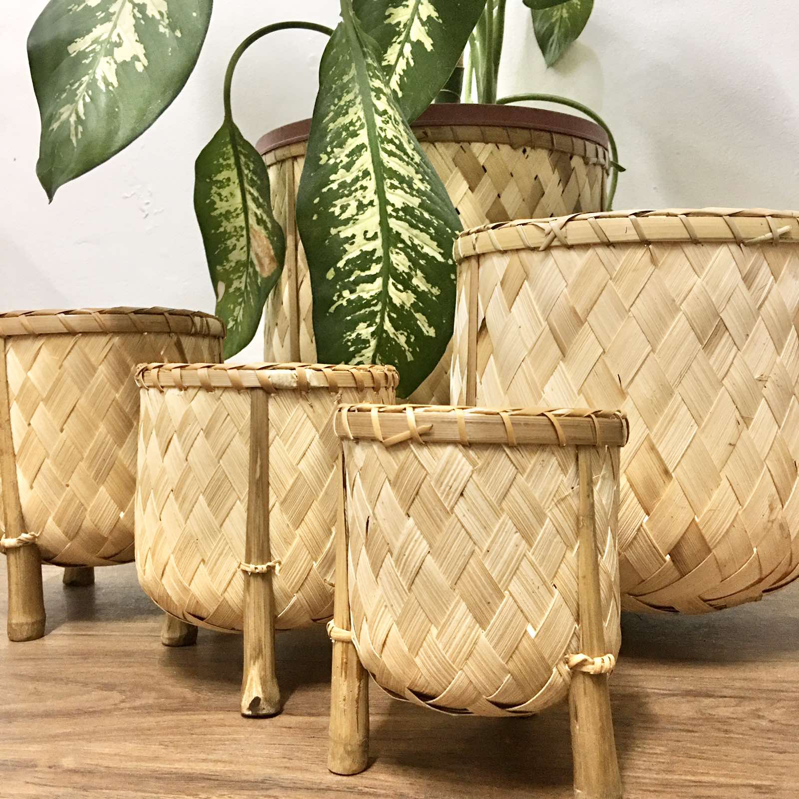 Veronica Bamboo Planter, 6-inch diameter, handcrafted from bamboo, ideal for displaying plants in eco-friendly style.