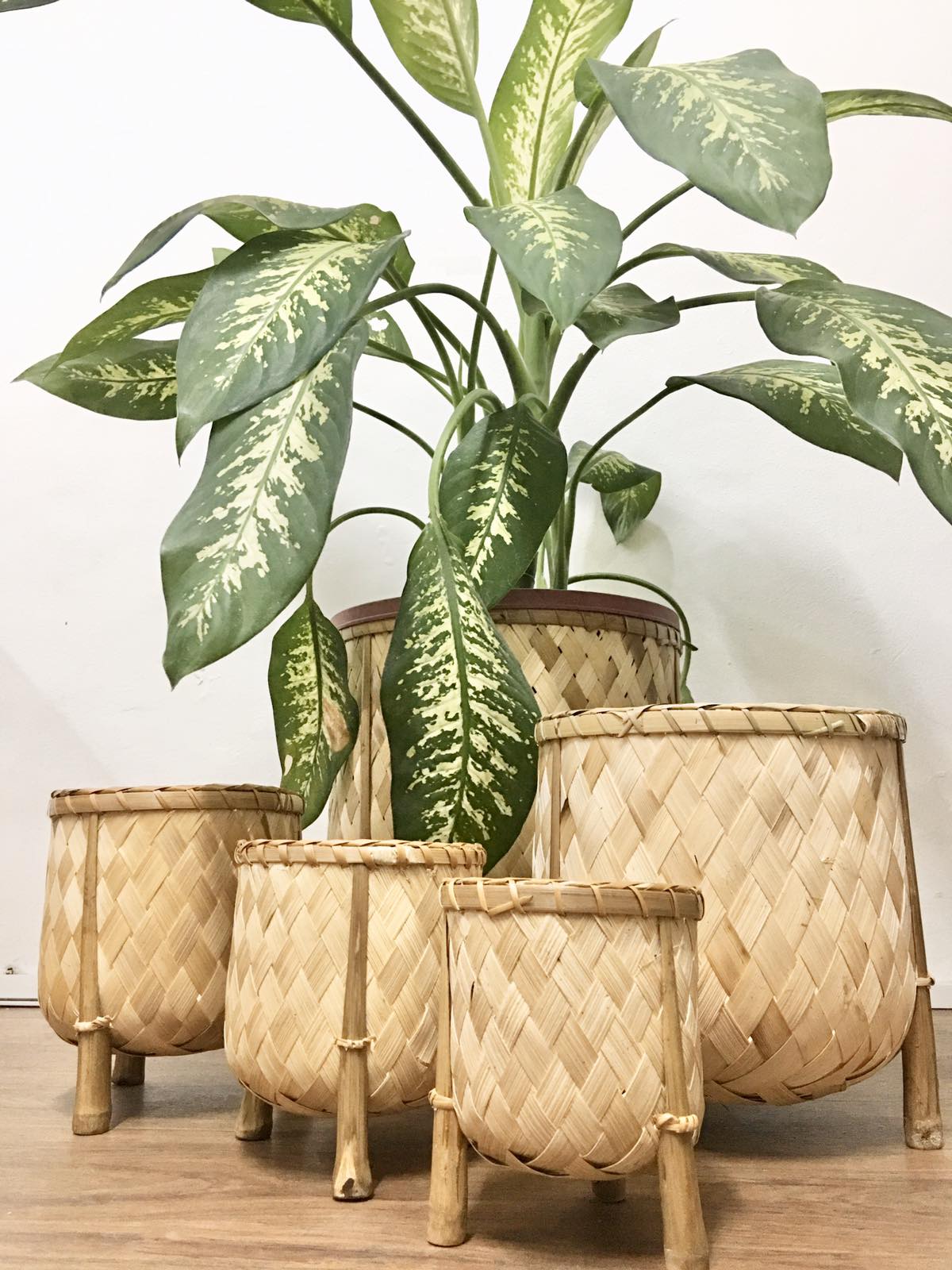 Veronica Bamboo Planter, 8-inch diameter, handcrafted from bamboo, ideal for displaying plants in eco-friendly style.
