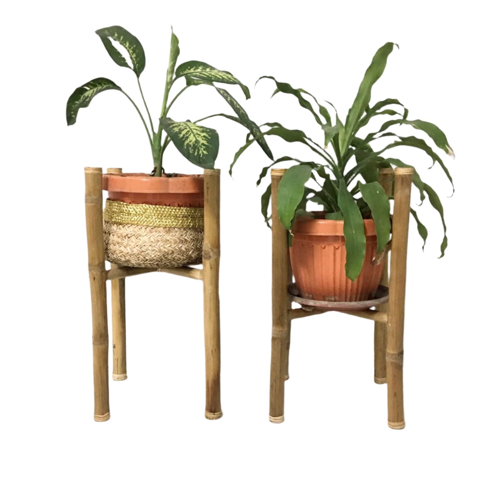 Veronica Bamboo Plant Stand, featuring Scandinavian-inspired design and sustainable bamboo construction. A stylish and eco-friendly plant display that supports local artisans and enhances home decor.
