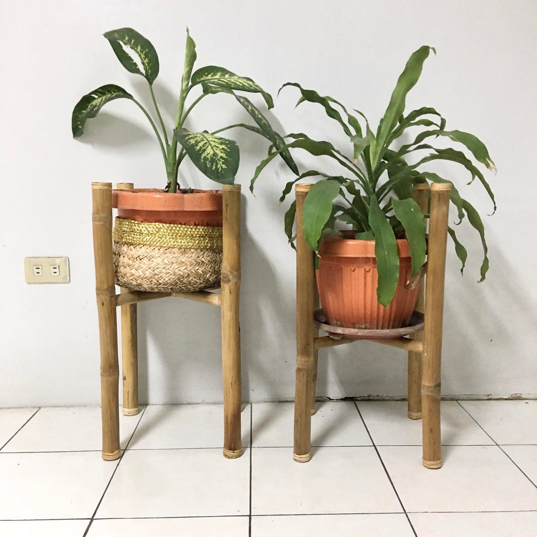 Veronica Bamboo Plant stands